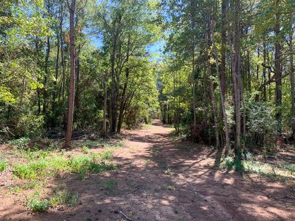 Undeveloped Land in Nacogdoches County, Texas