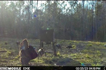 Ranch Property in Saint Helena Parish, Louisiana