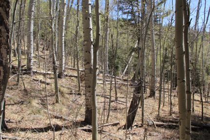 Property for sale in Costilla County, Colorado