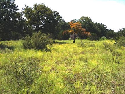 Residential Property in Blanco County, Texas
