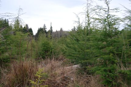 Recreational Property in Clallam County, Washington