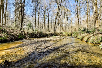 Ranch Property in Houston County, Georgia