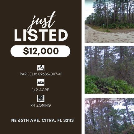 Farm Property in Marion County, Florida
