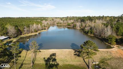 Timberland Property in Webster County, Mississippi