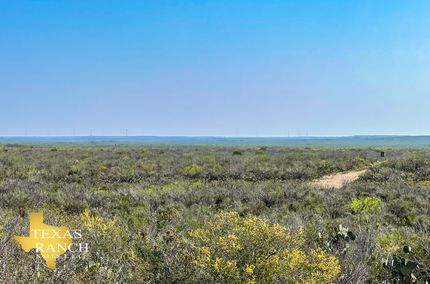 Ranch Property in Zapata County, Texas