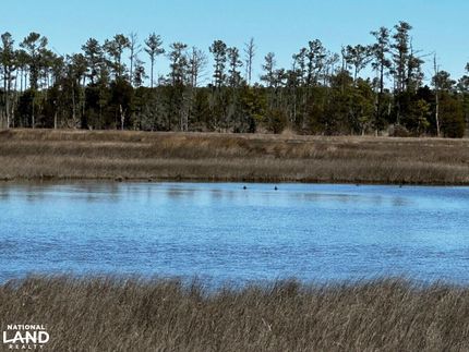 Hunting Land in Mathews County, Virginia
