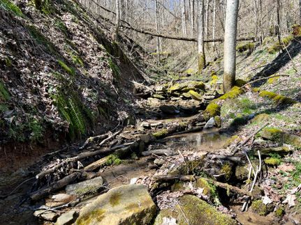 Hunting Land in Washington County, Ohio