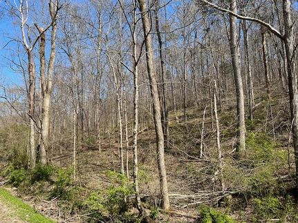 Recreational Property in Anderson County, Tennessee