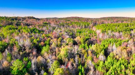 Farm Property in Wilcox County, Alabama