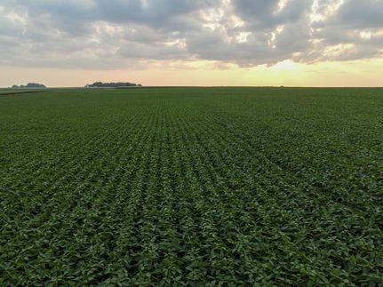 Property in Cherokee County, Iowa