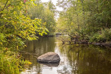 Farm Property in Price County, Wisconsin