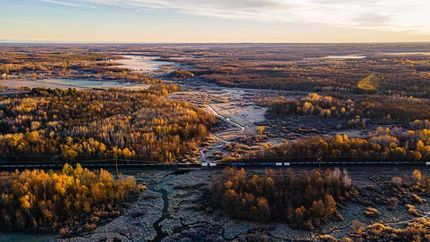 Hunting Land in Taylor County, Wisconsin
