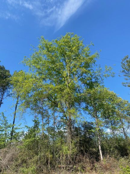 Property in Angelina County, Texas