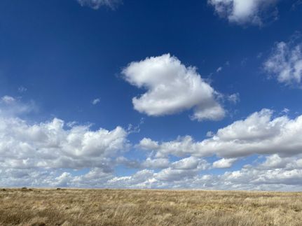 Property in Torrance County, New Mexico