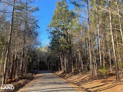 Farm Property in Webster County, Mississippi