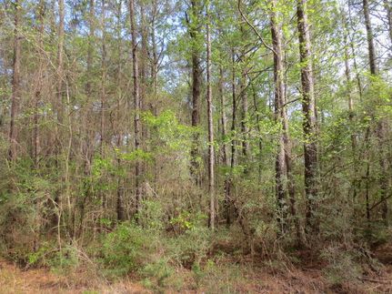 Farm Property in Marion County, Mississippi