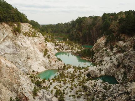 Hunting Land in Hot Spring County, Arkansas