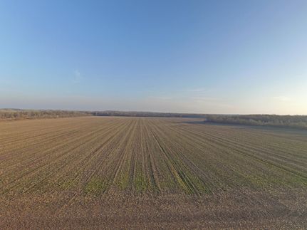 Hunting Land in Johnson County, Missouri