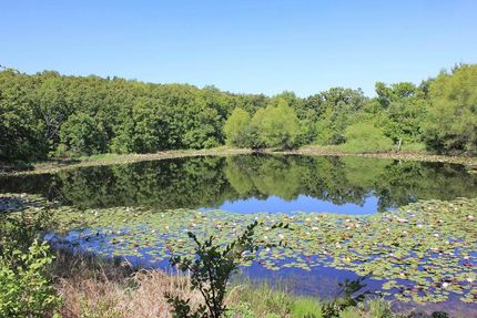 Ranch Property in Creek County, Oklahoma