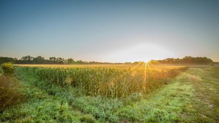 Farm Property in Johnson County, Missouri