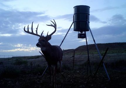 Horse Property in Clark County, Kansas