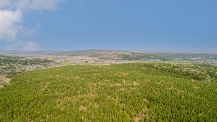 Hunting Land in Le Flore County, Oklahoma