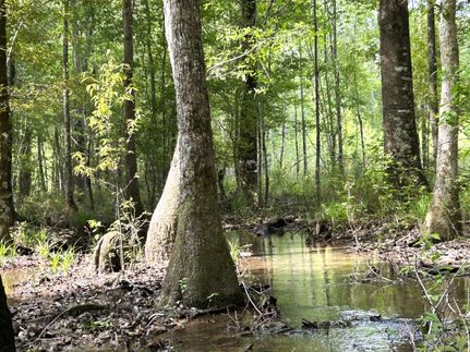 Property in Johnson County, Georgia