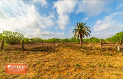 Farm Property in Hidalgo County, Texas