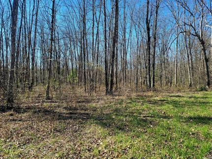 Farm Property in Bledsoe County, Tennessee