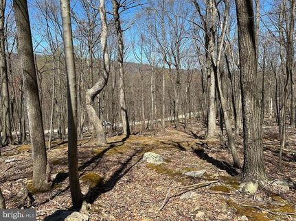 Residential Property in Hampshire County, West Virginia