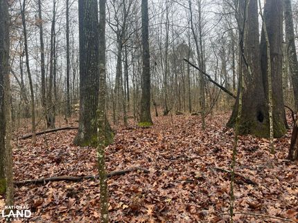 Residential Property in Jefferson County, Tennessee