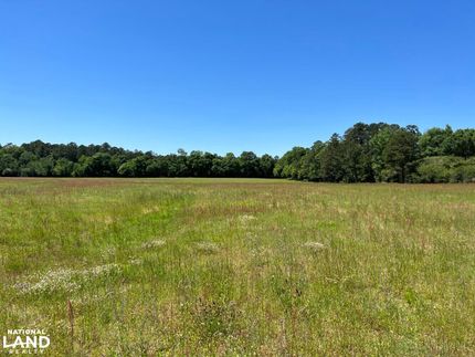 Commercial Property in Houston County, Alabama