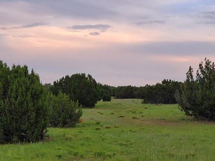 Farm Property in Apache County, Arizona