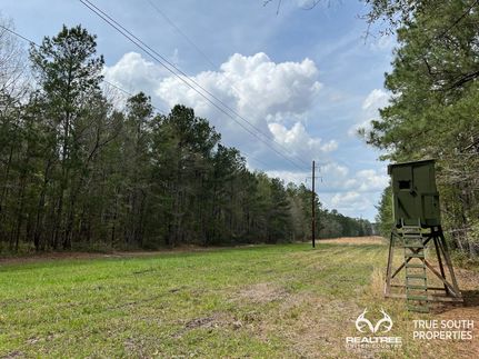 Farm Property in Colleton County, South Carolina