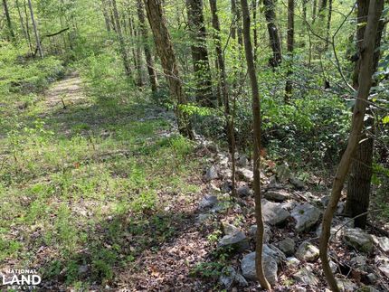 Ranch Property in Dallas County, Alabama
