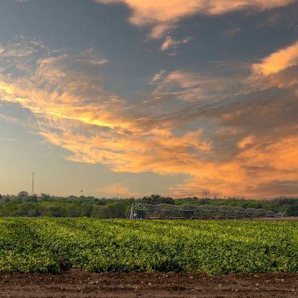 Commercial Property in Uvalde County, Texas