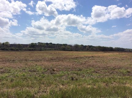 Farm Property in Butler County, Alabama