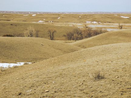 Ranch Property in Valley County, Montana