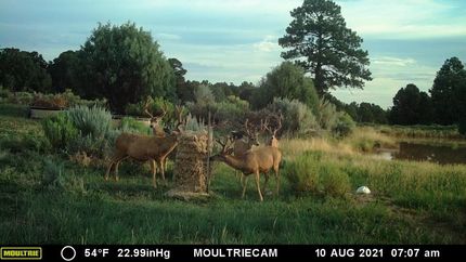 Property in Rio Arriba County, New Mexico
