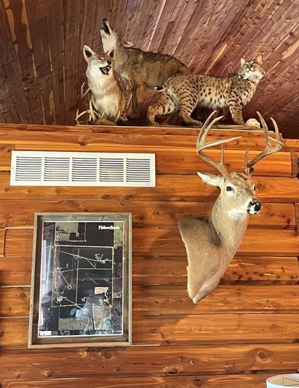 Property in Stephens County, Texas