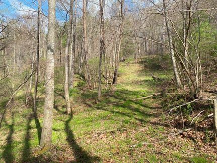 Ranch Property in Floyd County, Virginia
