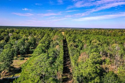 Undeveloped Land for sale in Walker County, Texas