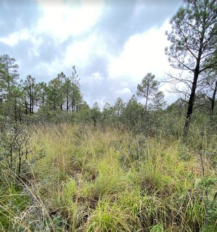 Recreational Property in Otero County, New Mexico
