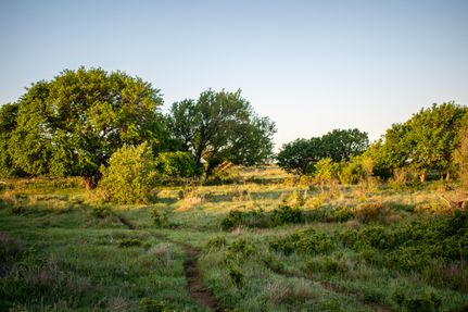 Farm Property in Montague County, Texas