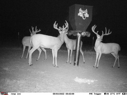 Property in Young County, Texas