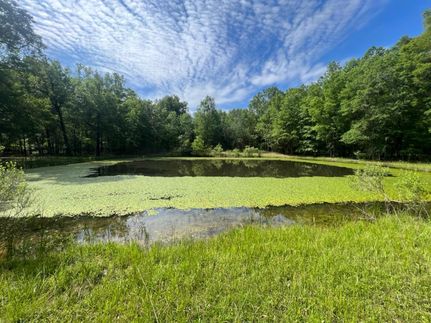 Ranch Property in Red River County, Texas