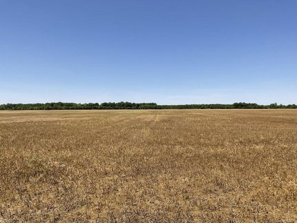 Residential Property in Quitman County, Mississippi