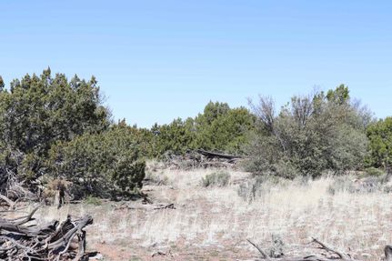 Recreational Property in Apache County, Arizona