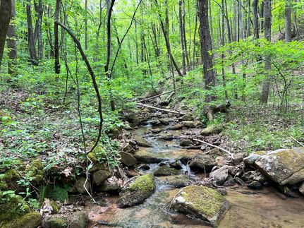 Ranch Property in Wilkes County, North Carolina