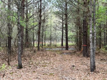 Property in Bowie County, Texas